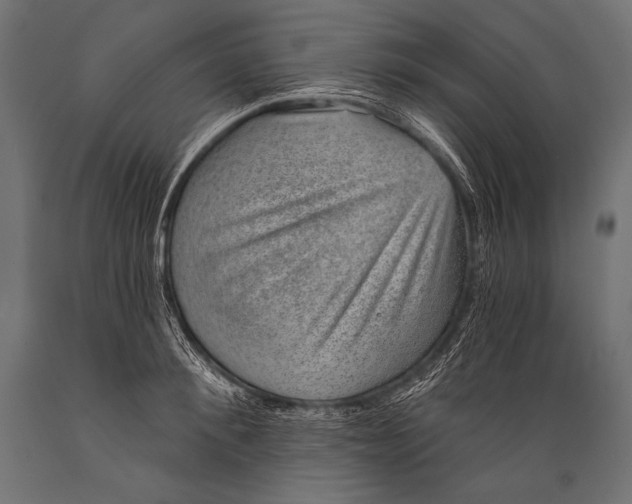 X0000088870900200706291537