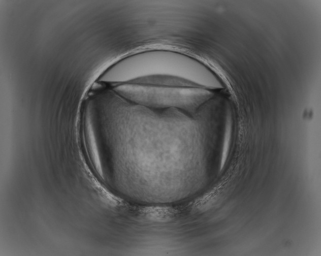 X0000088870902200706291537
