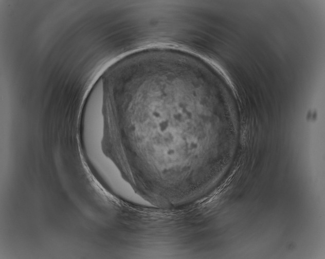 X0000088870903200706291537