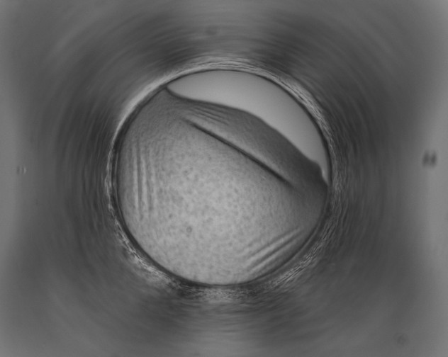 X0000088870904200706291537
