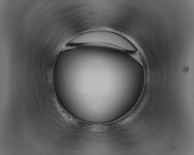 X0000088870905200706291537