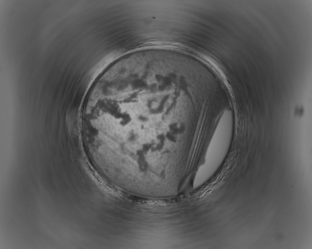 X0000088870907200706291537