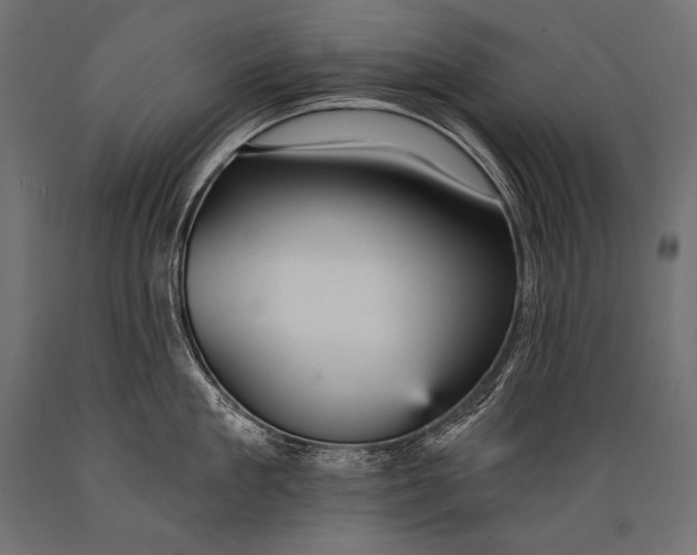X0000088870909200706291537