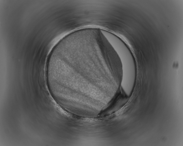 X0000088870910200706291537