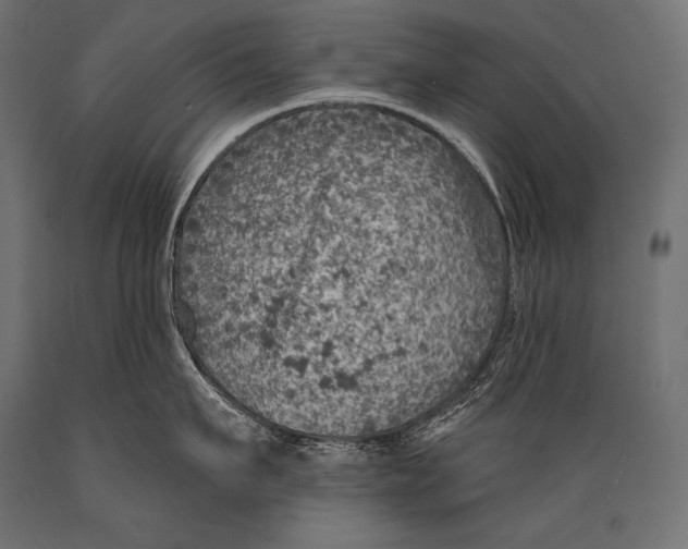 X0000088870911200706291537