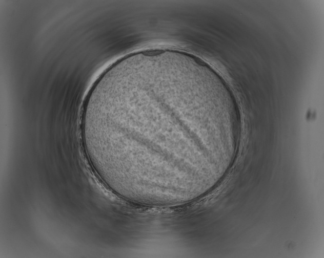 X0000088870912200706291537