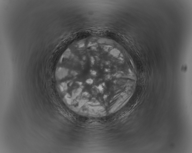 X0000088870913200706291537