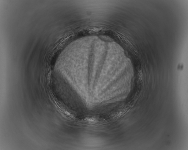 X0000088870914200706291537
