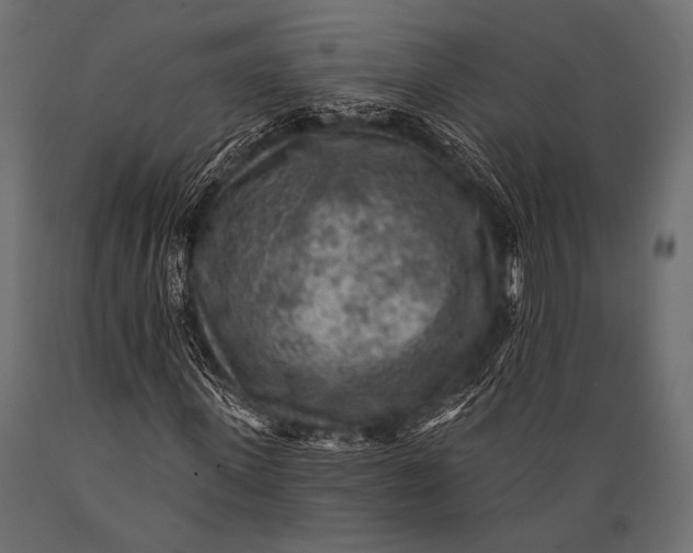 X0000088870915200706291537