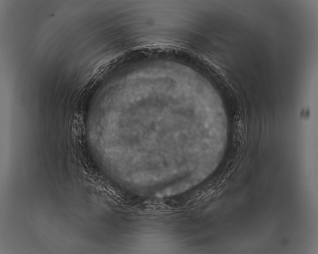 X0000088870918200706291537