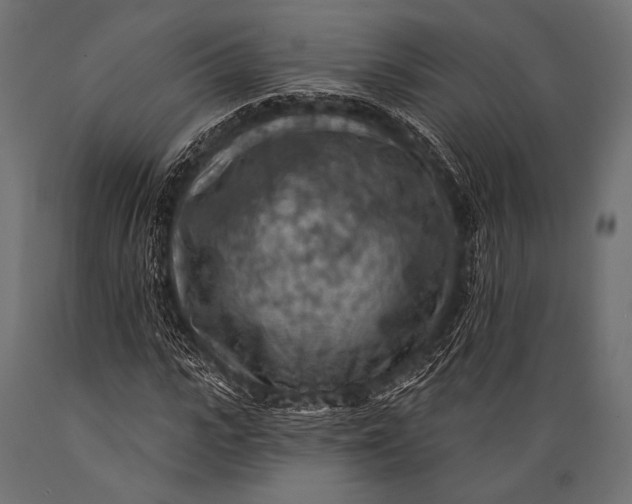 X0000088870919200706291537