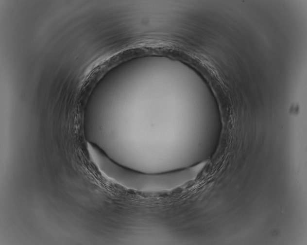 X0000088870920200706291537