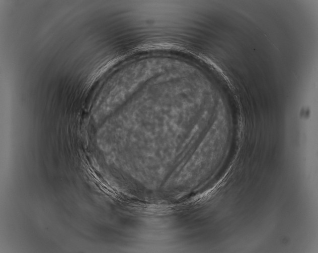 X0000088870921200706291537