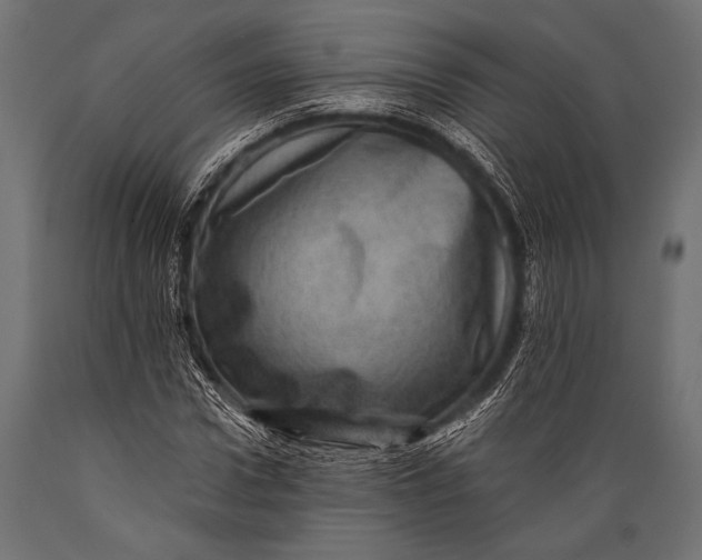 X0000088870922200706291537