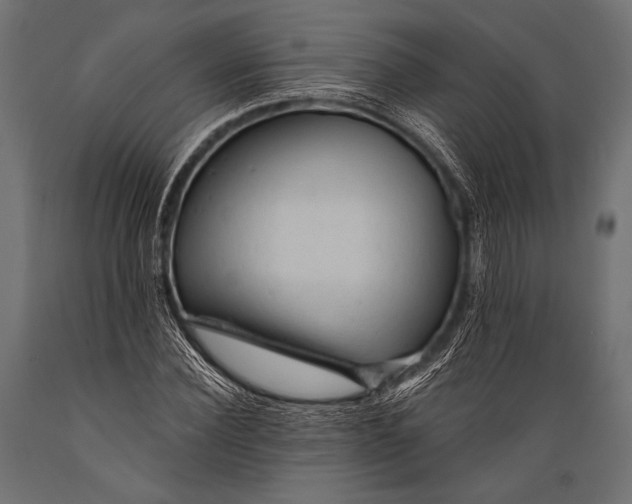 X0000088870924200706291537