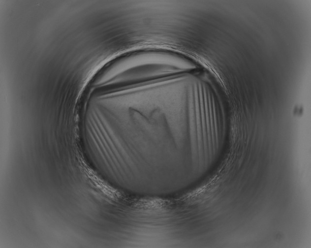 X0000088870926200706291537