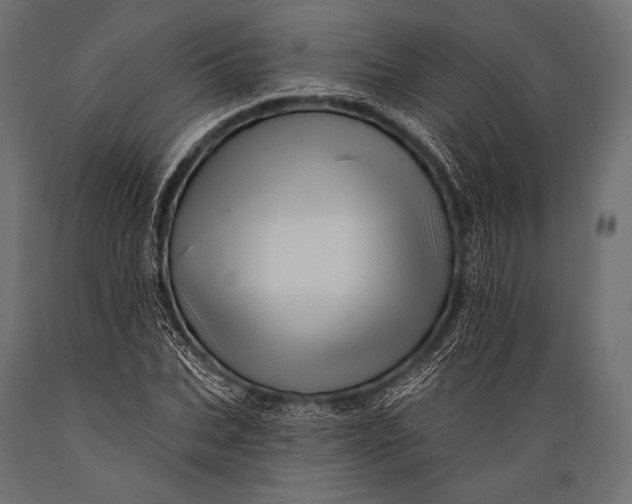 X0000088870927200706291537