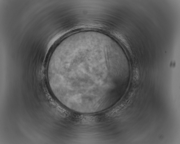 X0000088870928200706291537