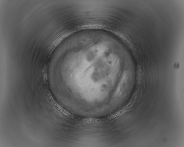 X0000088870929200706291537