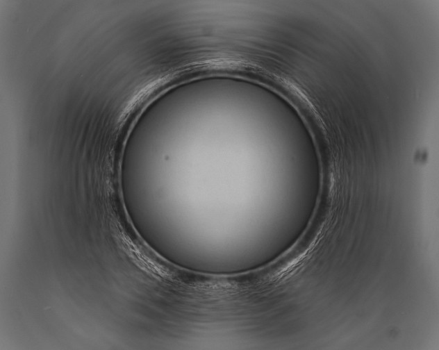 X0000088870930200706291537