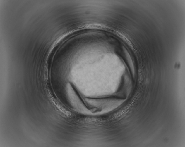 X0000088870931200706291537