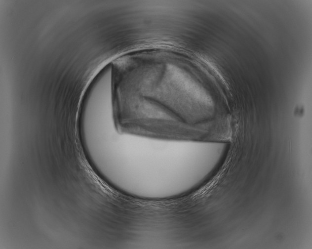 X0000088870932200706291537