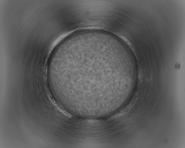 X0000088870933200706291537