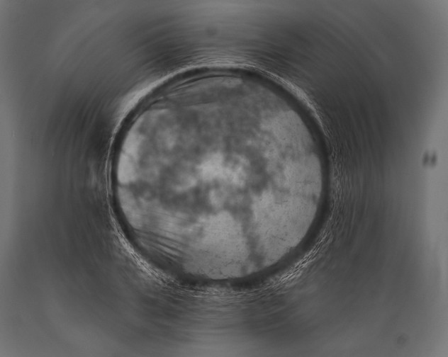 X0000088870935200706291537