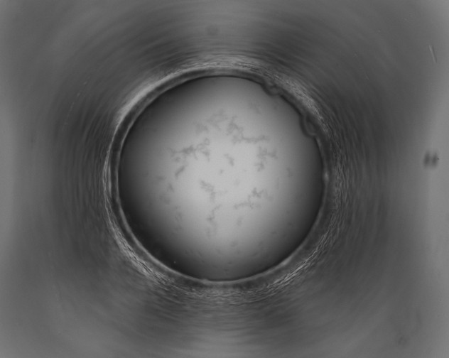 X0000088870936200706291537