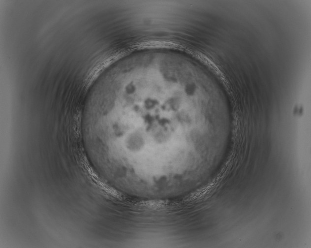 X0000088870937200706291537