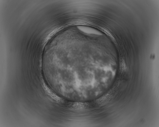 X0000088870938200706291537