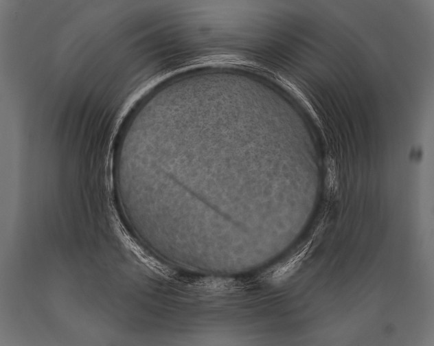 X0000088870939200706291537