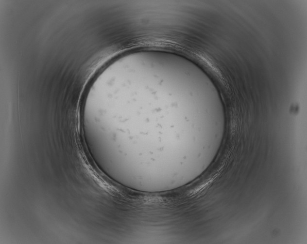 X0000088870940200706291537