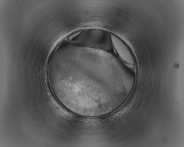 X0000088870941200706291537