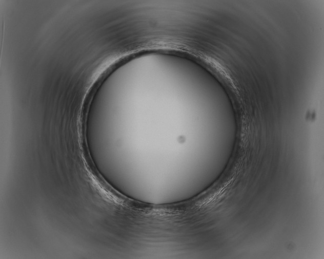 X0000088870942200706291537