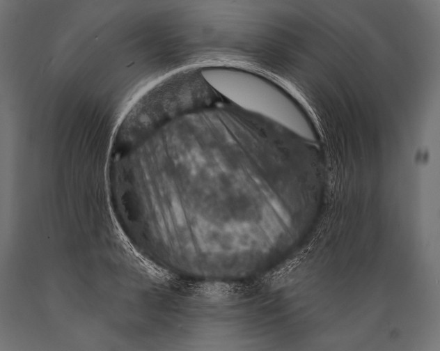 X0000088870943200706291537