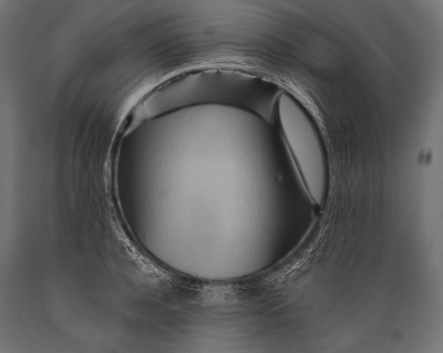 X0000088870944200706291537