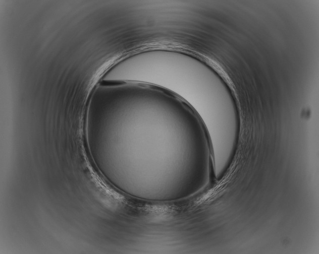 X0000088870946200706291537