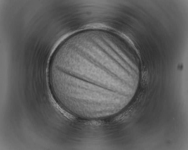 X0000088870947200706291537