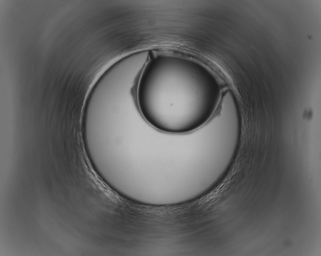 X0000088870948200706291537