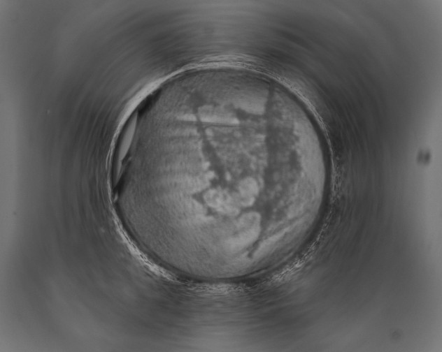 X0000088870949200706291537