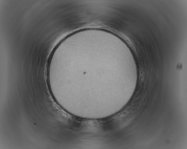 X0000088870950200706291537