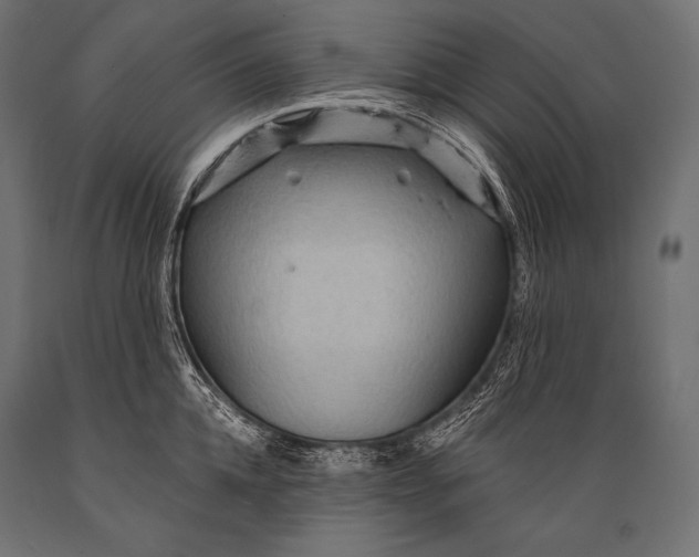 X0000088870952200706291537