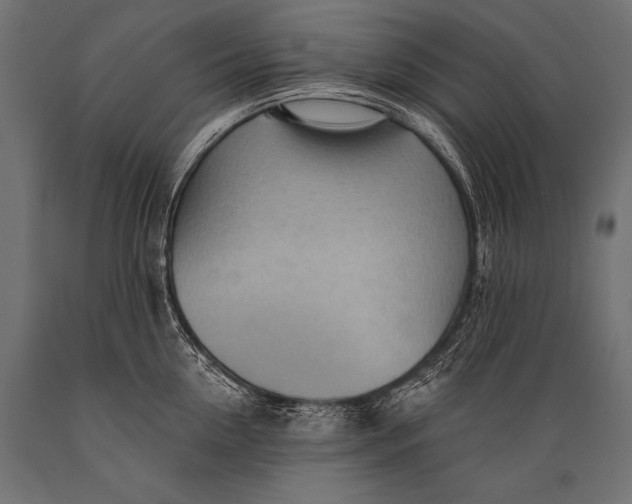 X0000088870954200706291537