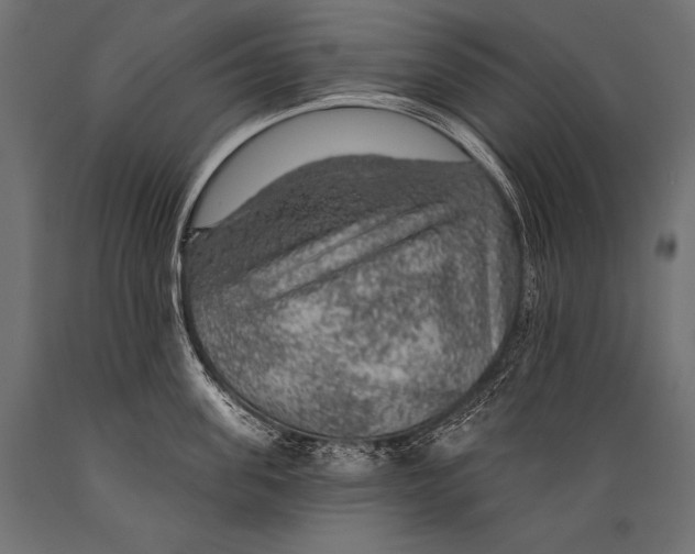 X0000088870955200706291537