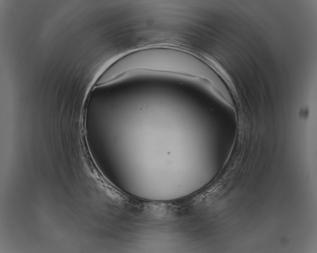 X0000088870956200706291537