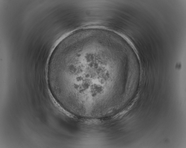 X0000088870957200706291537