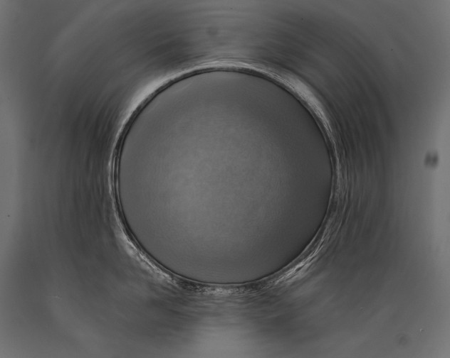 X0000088870958200706291537