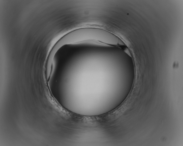 X0000088870960200706291537