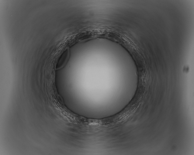 X0000088870961200706291537